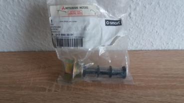 Oelablaßschraube, mit Filtereinheit (A 017 990 30 01), Original SMART